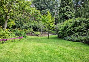 Optimiser l'expérience du jardin à Le Freney-d'Oisans